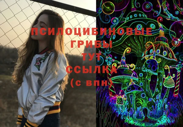 сатива Балабаново