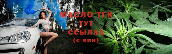 сатива Гусев