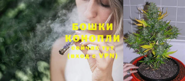 сатива Балабаново