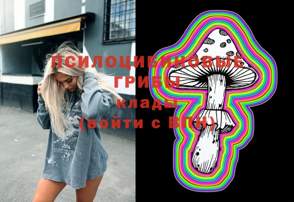 сатива Балабаново