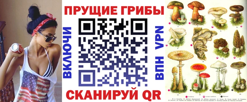 Псилоцибиновые грибы Cubensis  Высоцк 